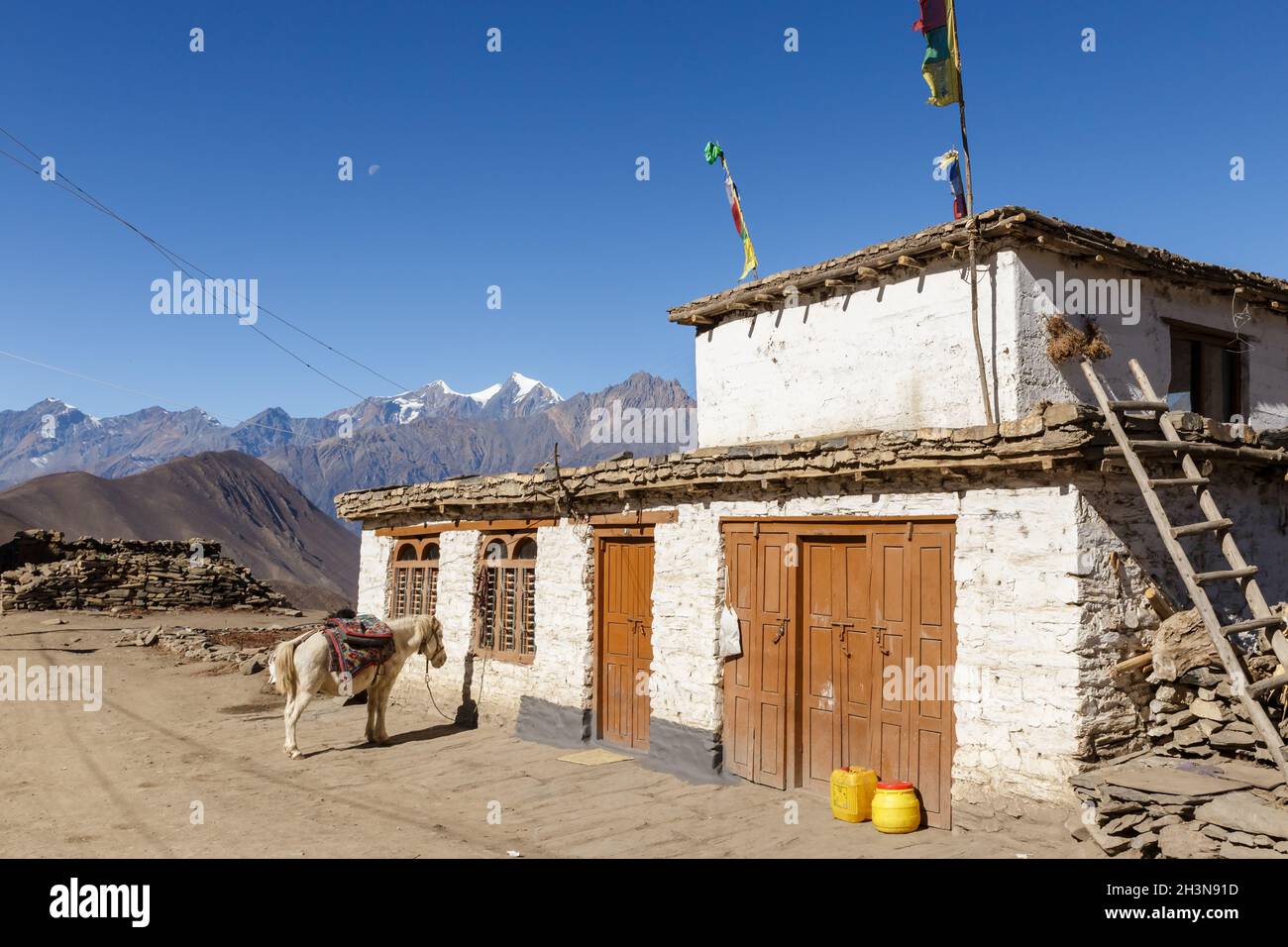 Un cavallo bianco sorge vicino ad un edificio di pietra bianca. Villaggio di Ranipauwa, distretto di Mustang, Nepal Foto Stock