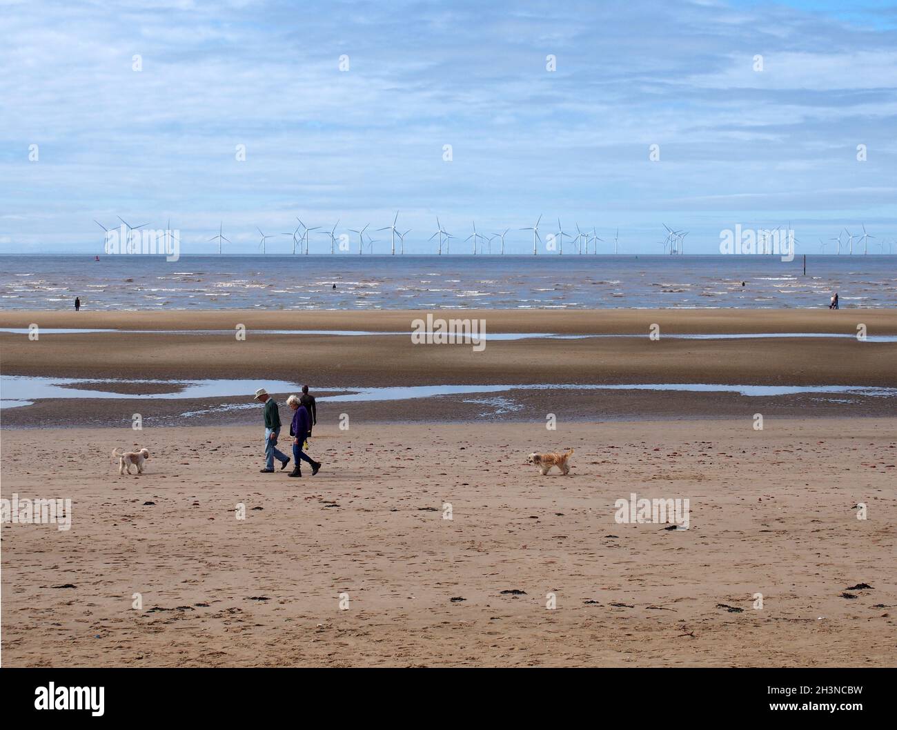 Persone che camminano sulla spiaggia con cani a blundell Sands vicino southport merseyside Foto Stock