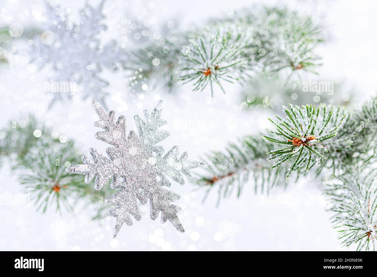 Sfondo natalizio o invernale con fiocchi di neve. Foto Stock
