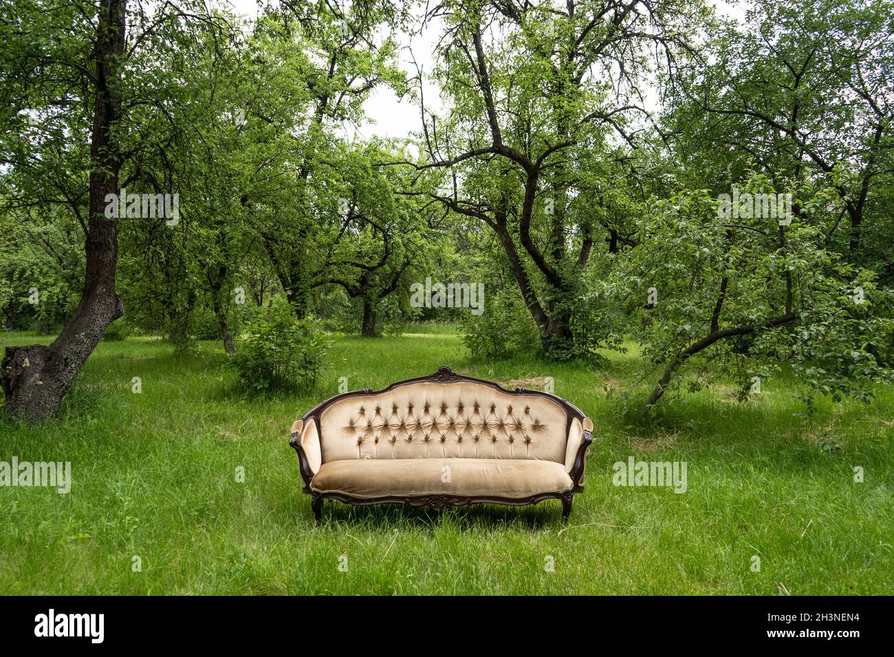 Vuoto giardino verde con grande divano di lusso a erba in il centro all'aperto Foto Stock