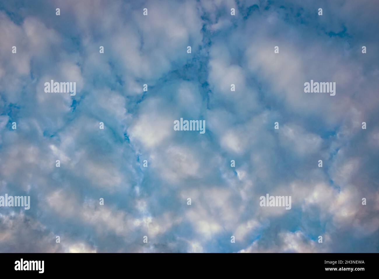 Nuvole di livello medio chiamate altocumulo nel modello di mattonella. Adatto come sfondo o carta da parati. Foto Stock