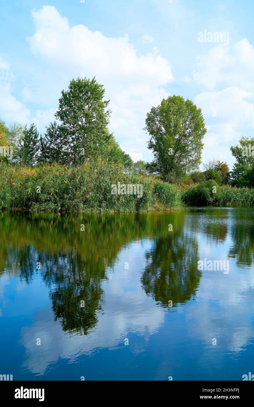 Riflessione in un lago nella riserva naturale Zuwachs-KÃ¼lzauer Forst vicino Magdeburg Foto Stock