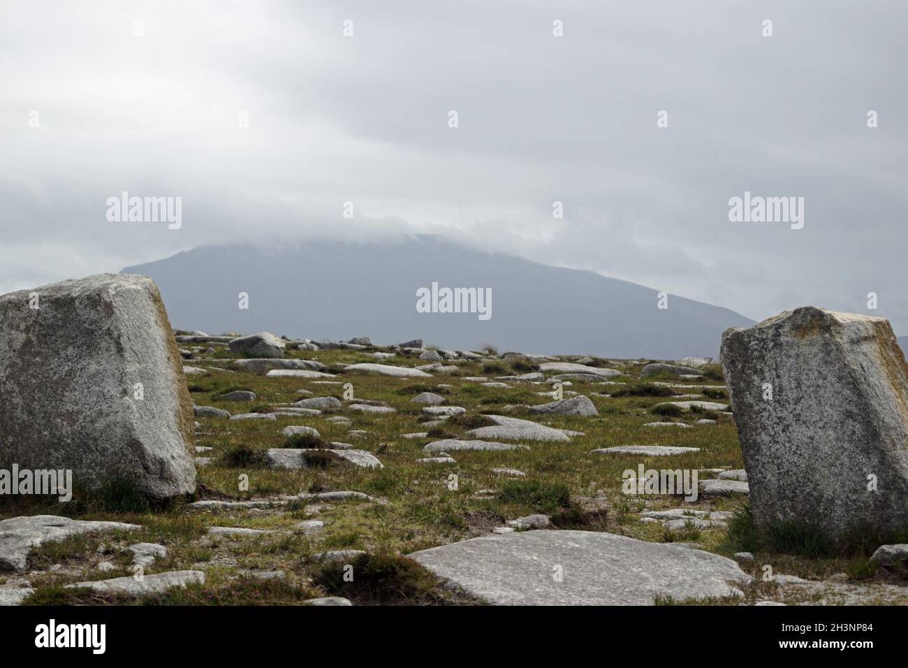 Deirbhiles Twist Irlanda Foto Stock