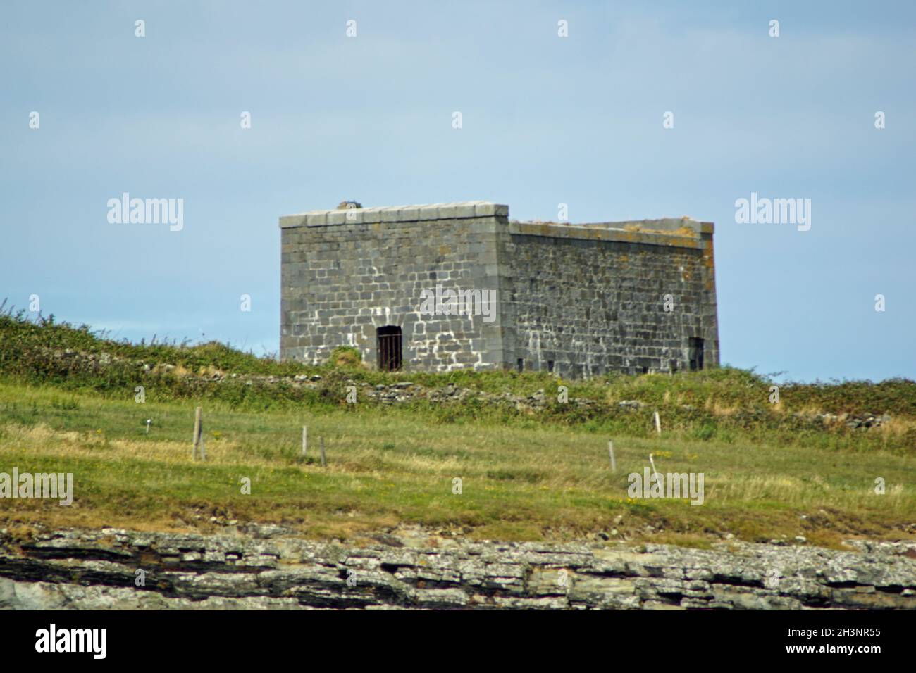 Tour dei Delfini del Castello di Carrigaholt MacMahon Foto Stock
