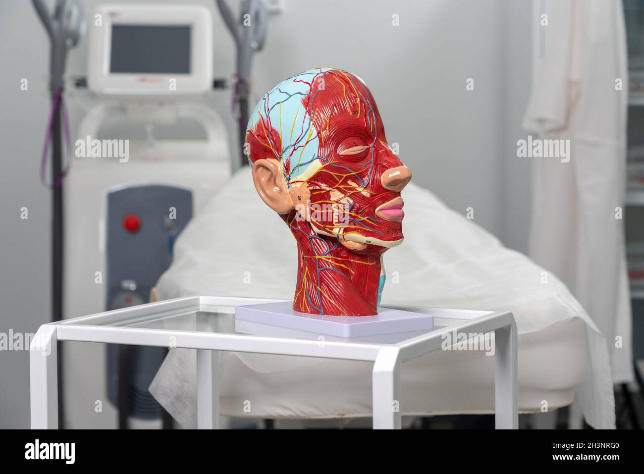 Modello anatomico artificiale della testa in clinica di cometologia. Maquette del viso per uso medico Foto Stock