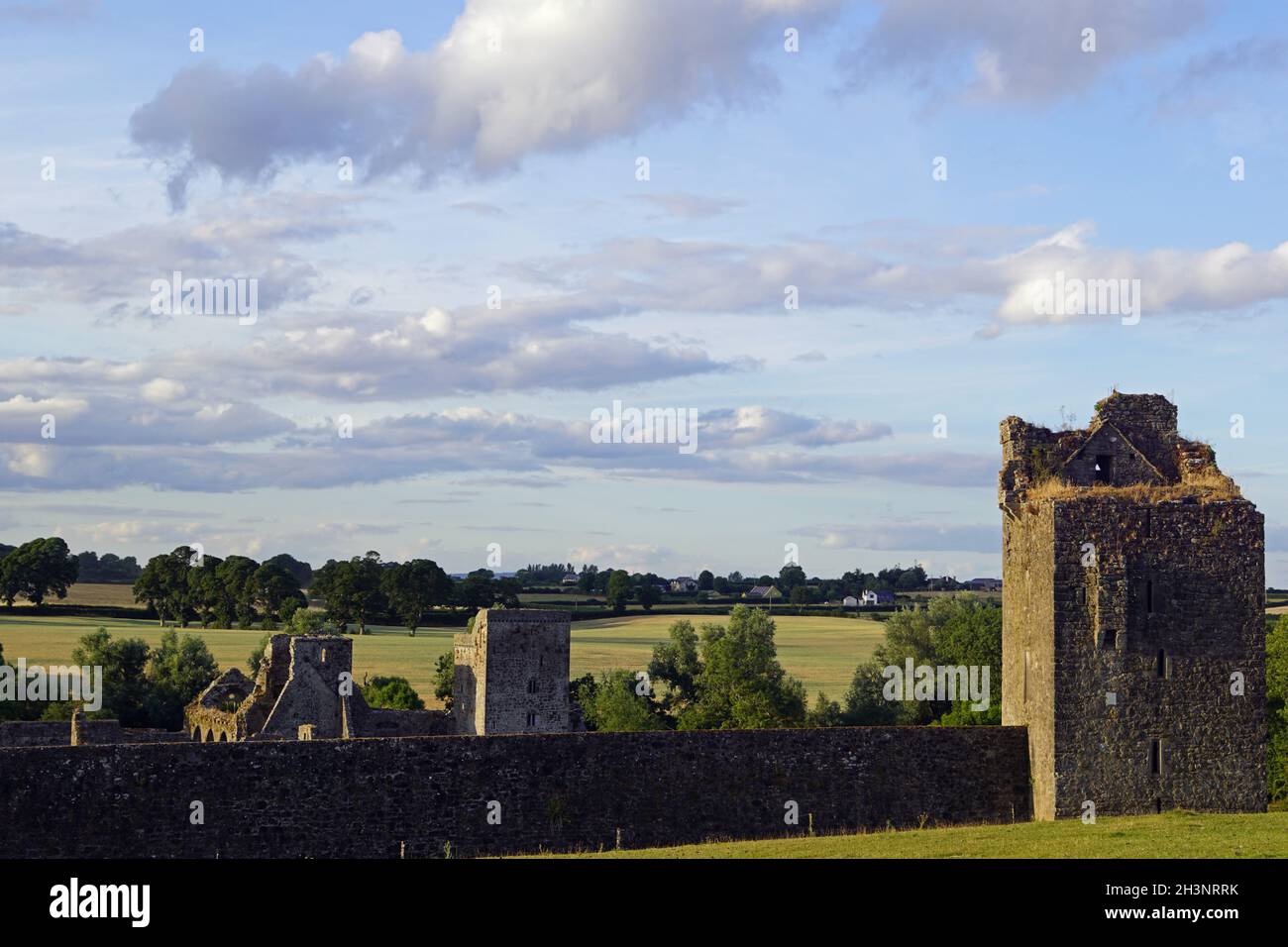 Kells Priory Irlanda Foto Stock