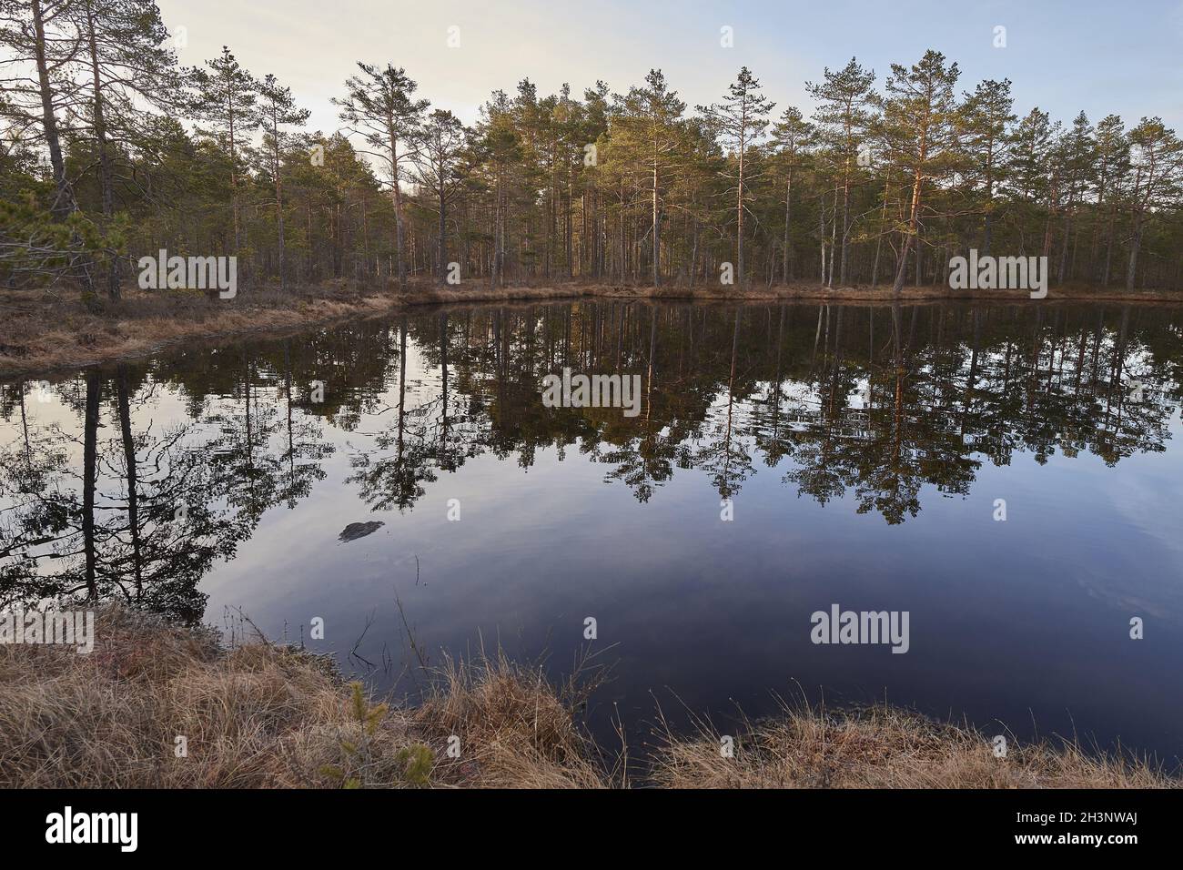 KnuthÃ¶jdsmossen Foto Stock