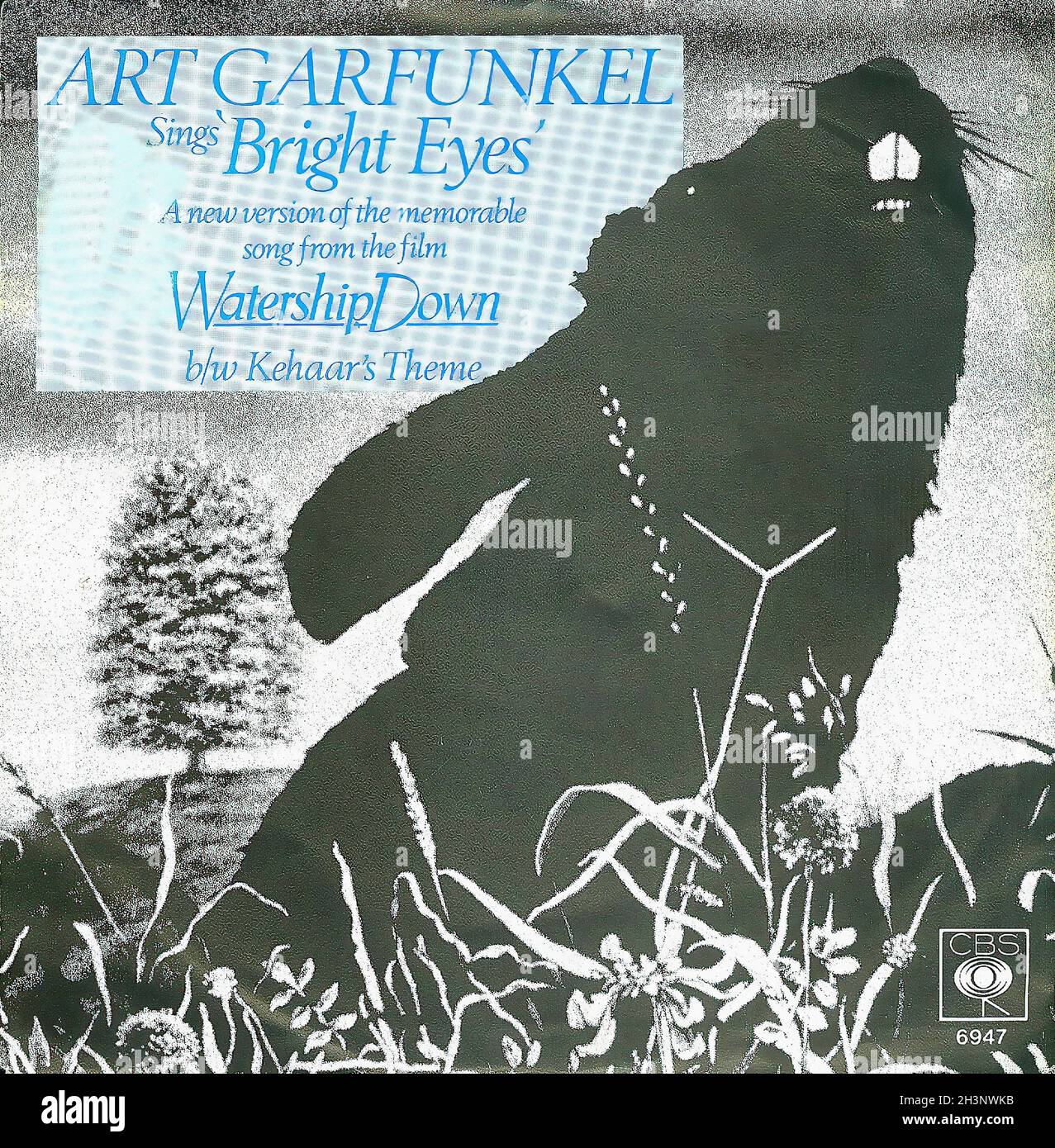 Vintage Vinyl Recording - Watership Down - Unten am Fluss - Bright Eyes - Art Garfunkel - D - 1978 Foto Stock