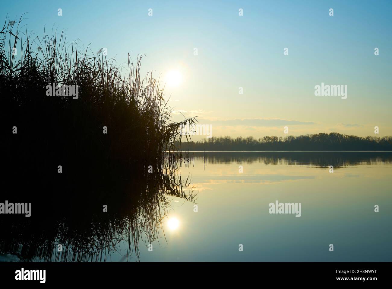 Atmosfera serale con il riflesso del sole al lago Barleber vedere vicino a Magdeburgo in Germania Foto Stock