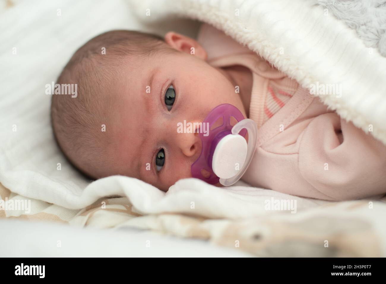 Neonato Baby Ritratto, bellissimo succhietto Kid New Born. Foto Stock