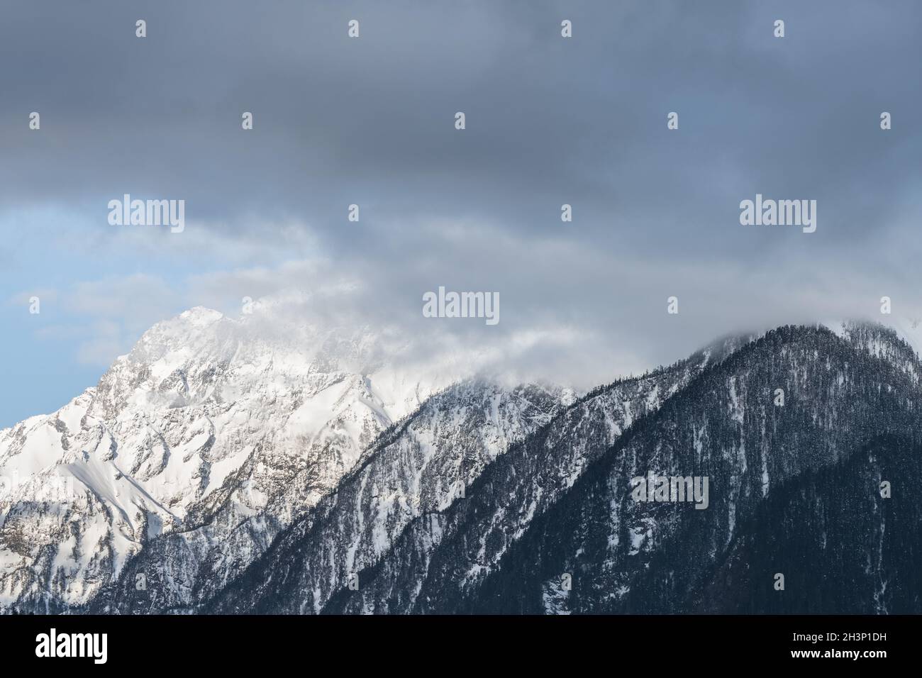 Montagne di neve e foreste Foto Stock