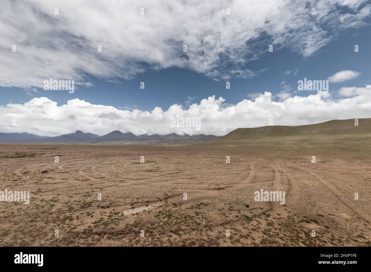 Campo selvaggio con piste auto su altopiano Foto Stock