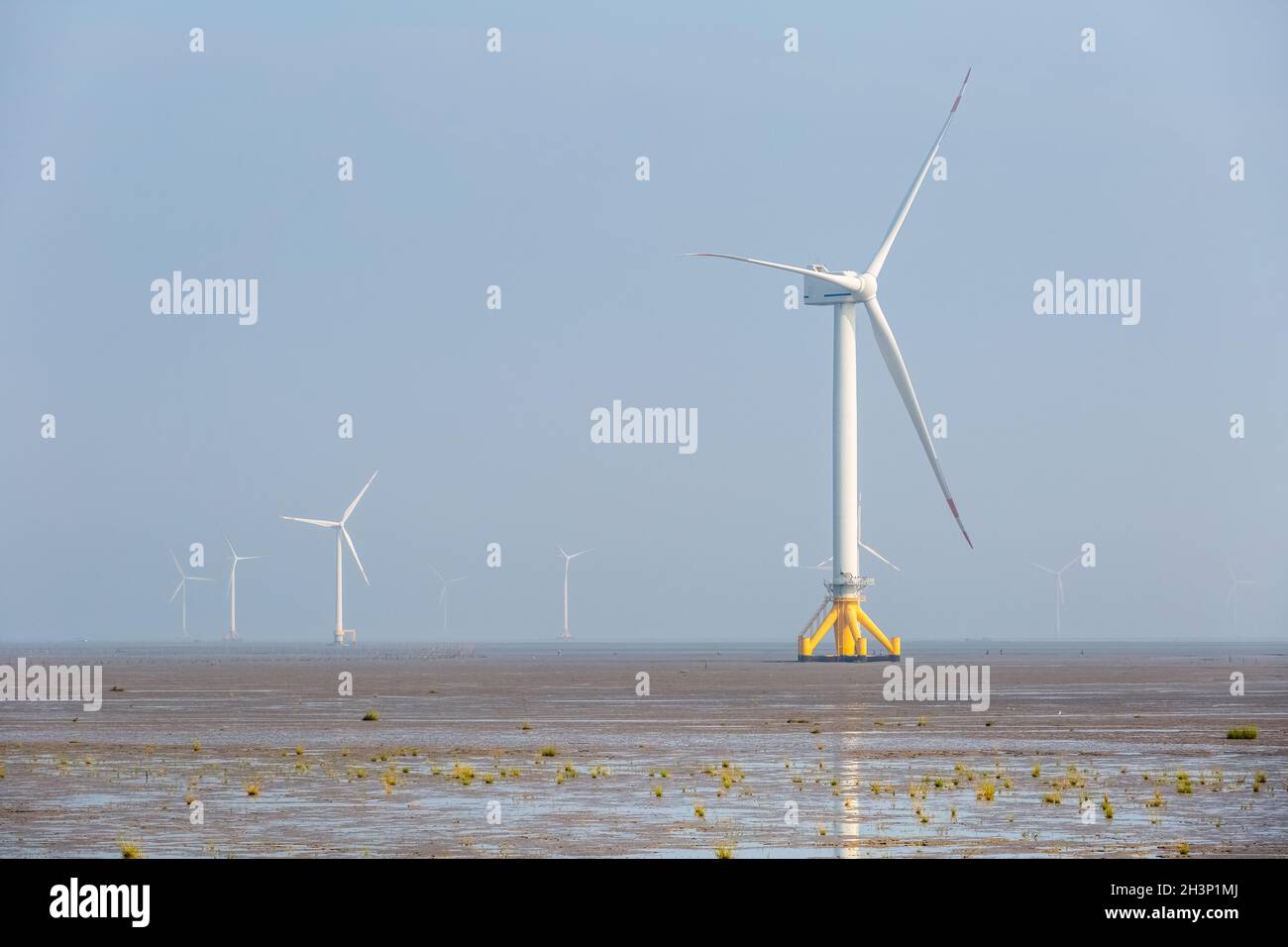 Wind farm su paludi pianeggianti mareali Foto Stock