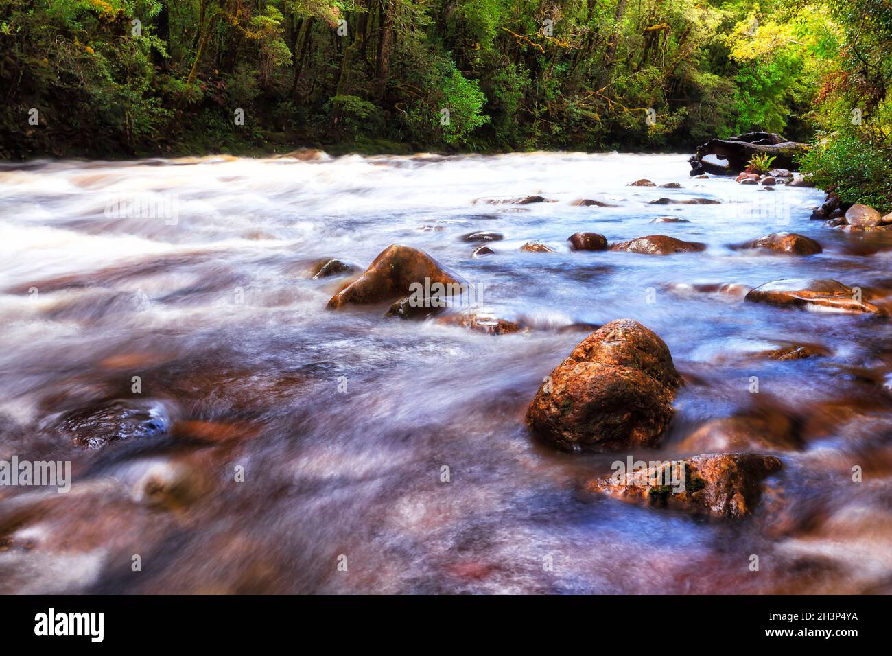 Rapide sul fiume Franklin nel parco nazionale dei fiumi selvaggi Franklin-Gordon della Tasmania, Australia. Foto Stock