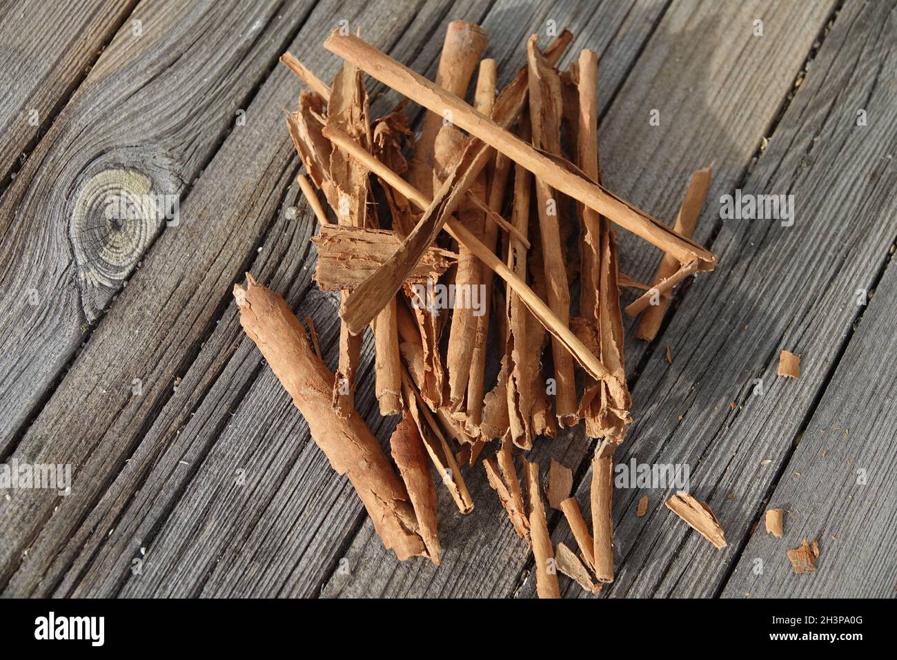 Cinnamomum verum, cannella Foto Stock
