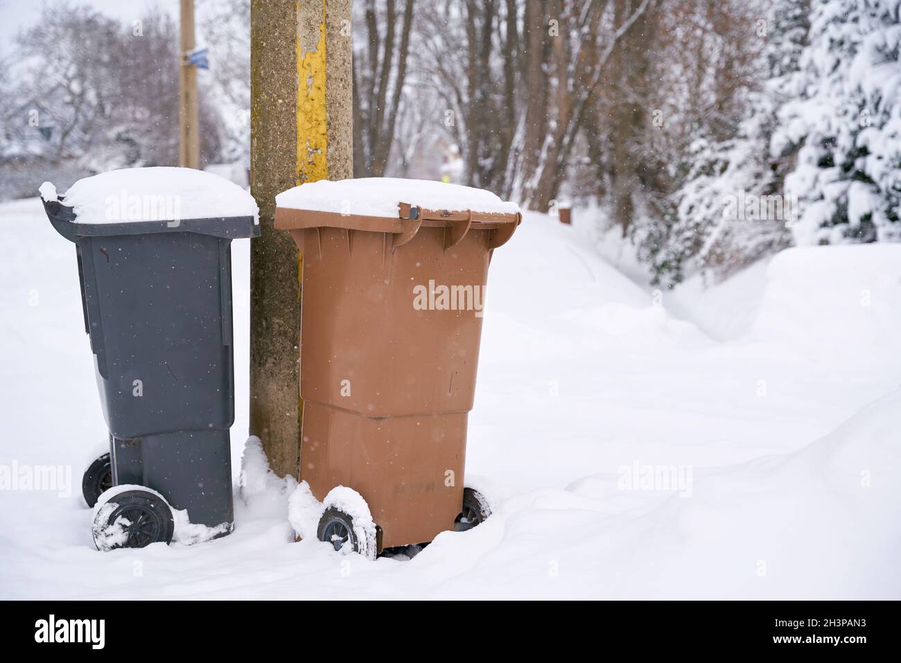 Lattine di spazzatura a bordo strada su una strada innevata-in dentro Magdeburgo in Germania Foto Stock