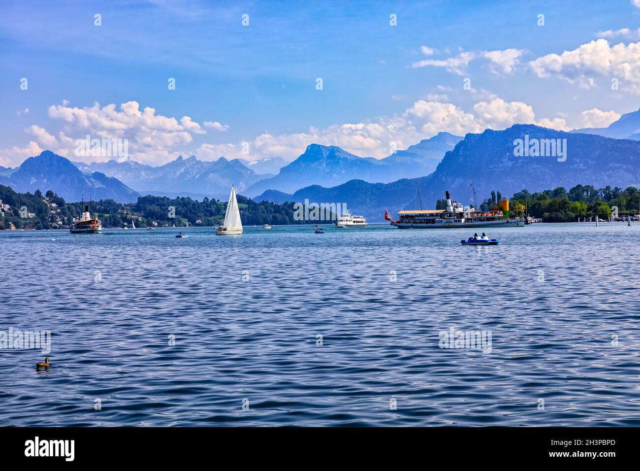 Vista estiva sul lago di Lucerna, (VierwaldstÃ¤ttersee), Svizzera Foto Stock