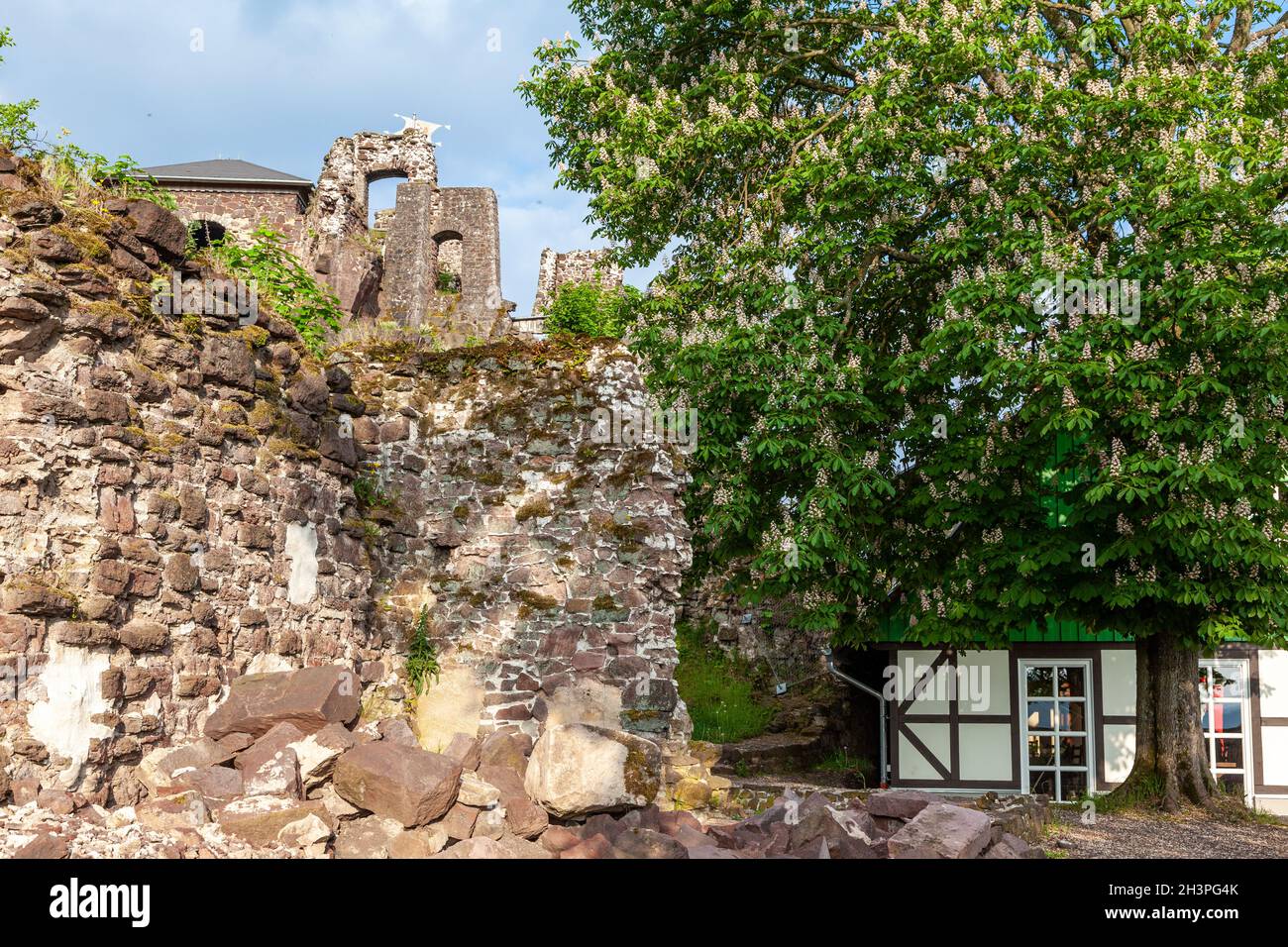 Hohnstein Castello rovina Neustadt im Harz Foto Stock