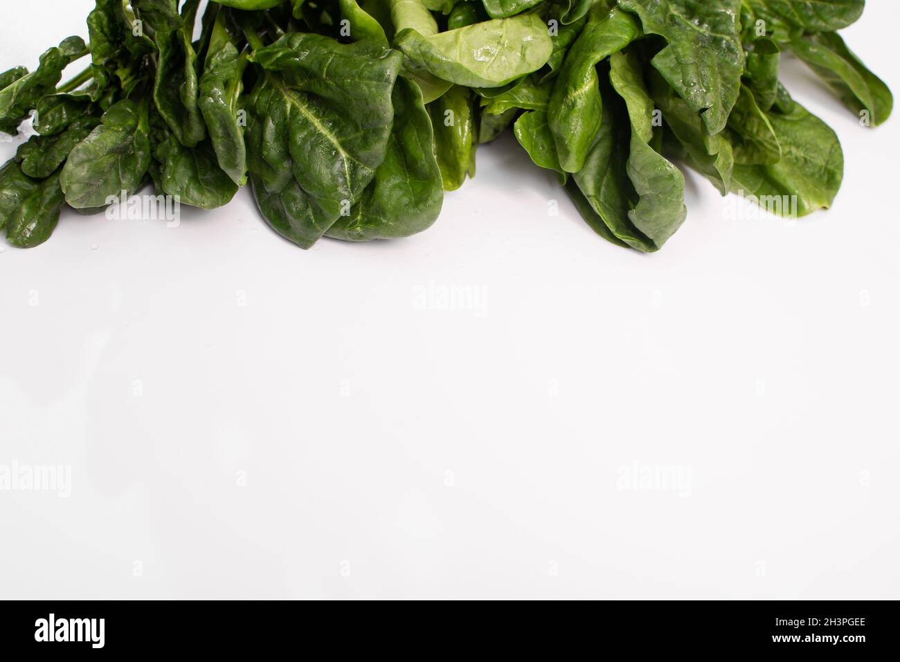 Il concetto di alimentazione sana. Primo piano degli spinaci su sfondo bianco. Spazio vuoto Foto Stock