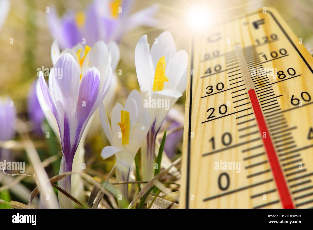 Temperatura calda sul termometro in primavera Foto Stock