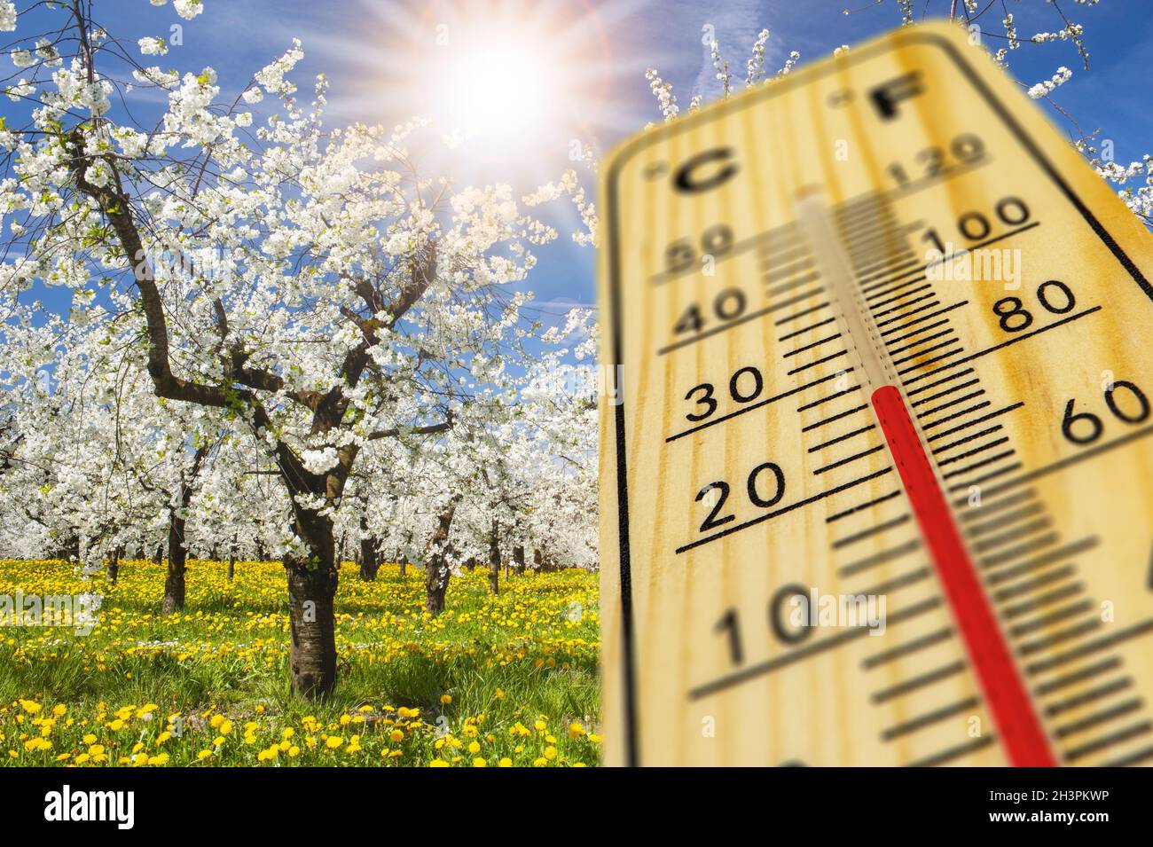Temperatura calda sul termometro in primavera Foto Stock