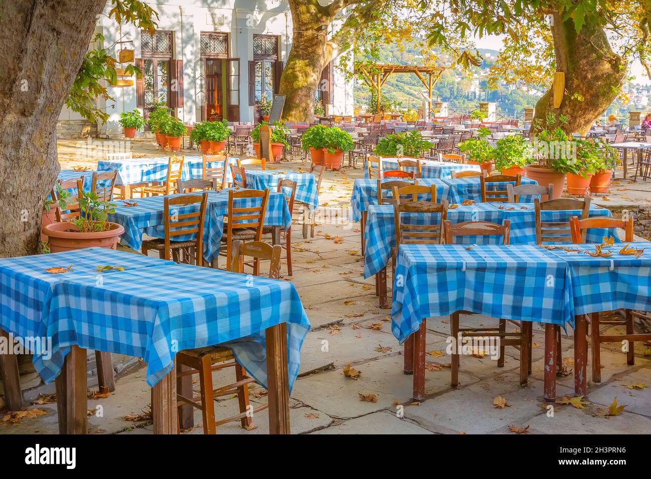 Vista sulla strada del caffè a Makrinitsa, Pelion, Grecia Foto Stock