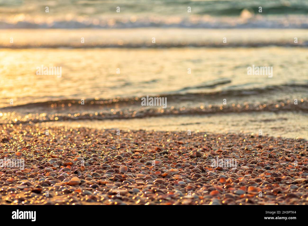 Tramonto sul Mar Mediterraneo. Costa con cumuli di conchiglie. I raggi del sole si riflettono nell'acqua. Foto Stock