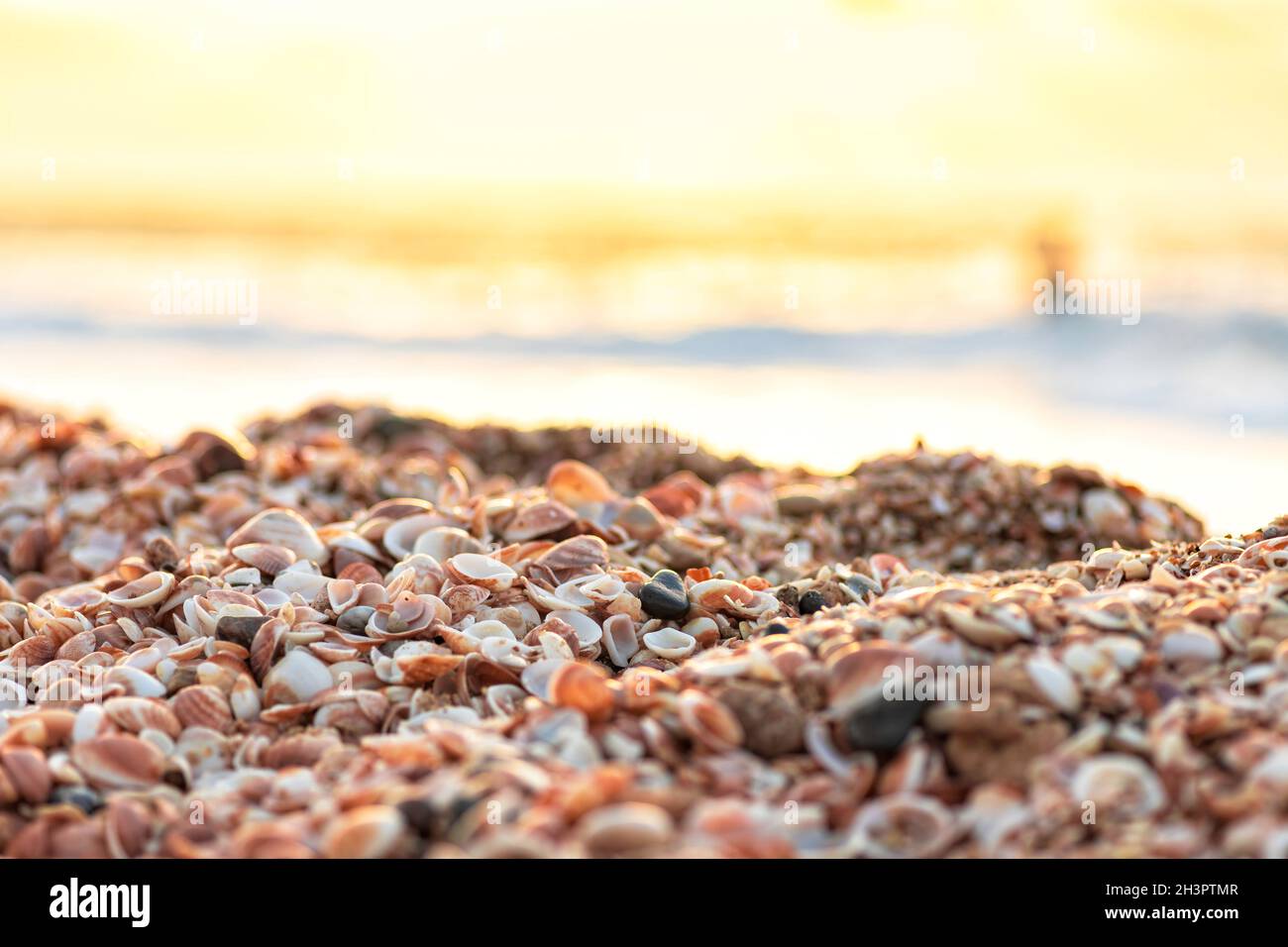 Tramonto sul Mar Mediterraneo. Costa con cumuli di conchiglie. I raggi del sole si riflettono nell'acqua. Foto Stock