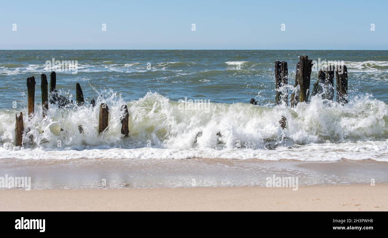 Onde surf Foto Stock