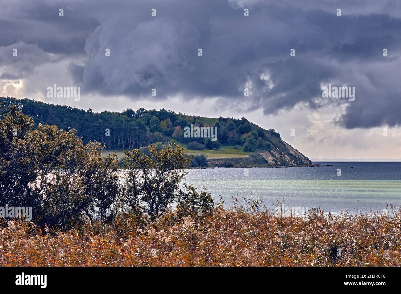 Tempo autunnale sulla costa di Gager nella riserva naturale di MÃ¶nchgut sull'isola di Ruegen Foto Stock