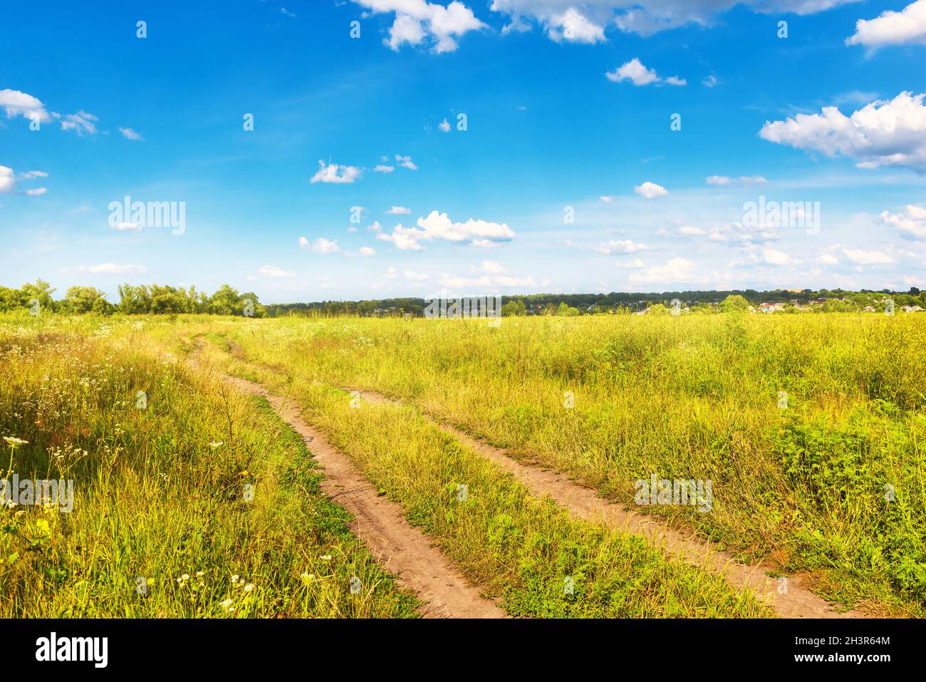 Country Road sul prato Foto Stock