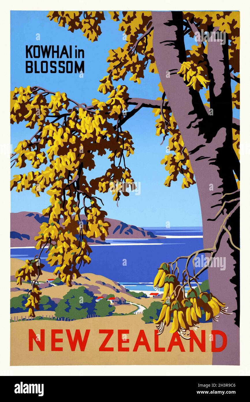 Nuova Zelanda. Kowhai in fiore. Artista sconosciuto. Poster d'epoca restaurato pubblicato nel 1957 in Nuova Zelanda. Foto Stock