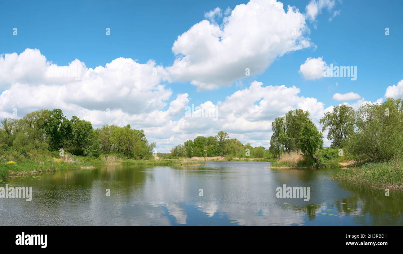 L'idilliaco fiume Ehle vicino al comune di Biederitz vicino Magdeburgo in Germania Foto Stock