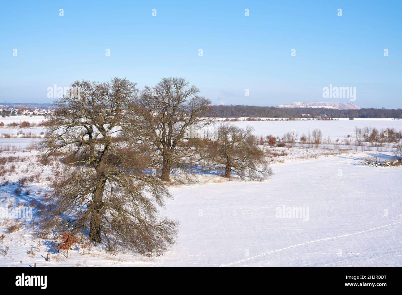 Paesaggio con alberi sulla riva del fiume Elba vicino al villaggio Glindenberg in inverno Foto Stock
