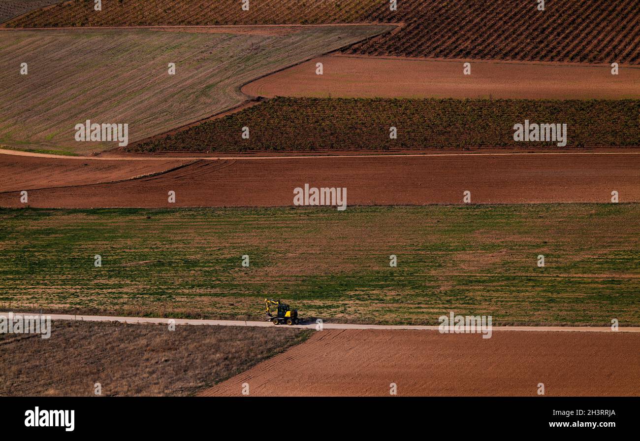Paesaggio di campo vigneto con veicolo agricolo che passa su strada sterrata Foto Stock
