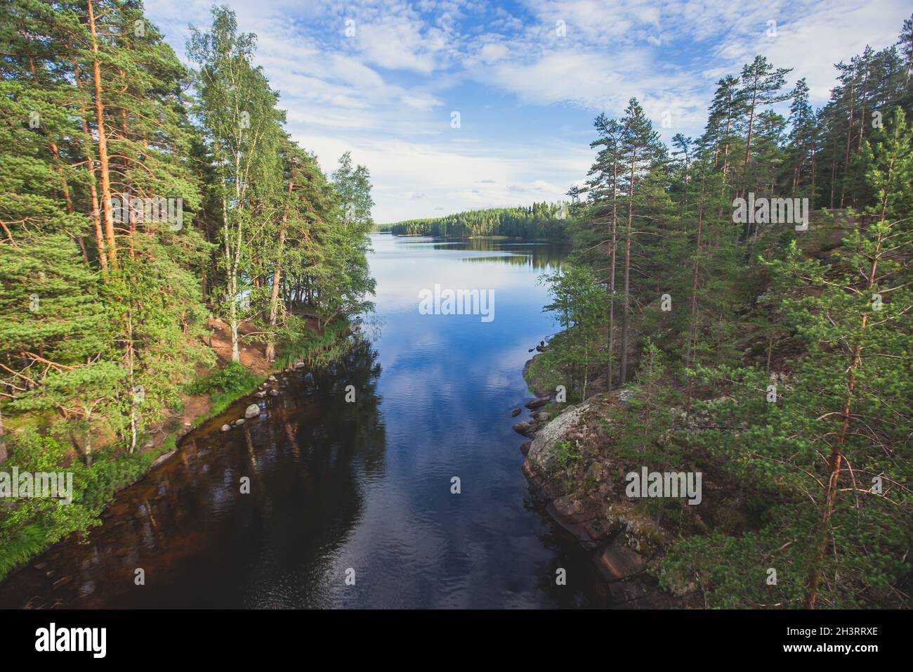 Parco Nazionale di Repovesi, vista estiva, vista panoramica estiva di un parco finlandese, Finlandia meridionale, Koivola e Mäntyharju, regione di Kymenlaakso, legno Foto Stock