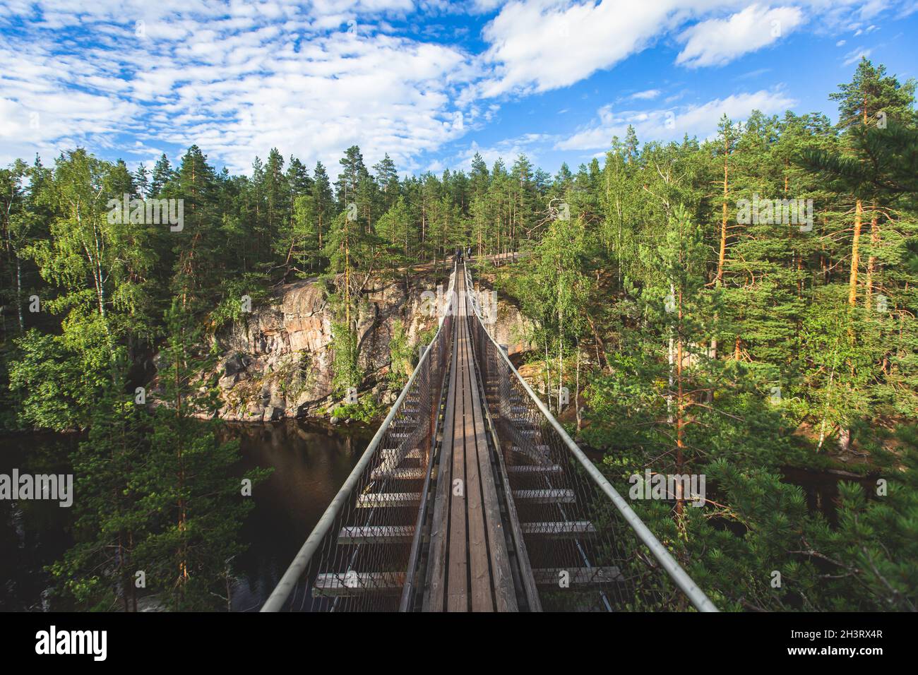 Parco Nazionale di Repovesi, vista estiva, vista panoramica estiva di un parco finlandese, Finlandia meridionale, Koivola e Mäntyharju, regione di Kymenlaakso, legno Foto Stock