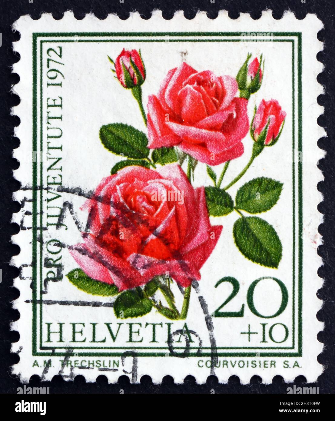 SVIZZERA - CIRCA 1972: Un francobollo stampato in Svizzera mostra Miracle, famosa Rosa, Fiore, circa 1972 Foto Stock