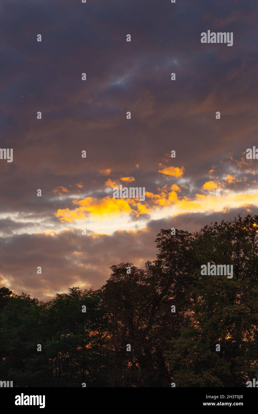Cielo da sera piroico, continuo, nuvola colorata che cambia sugli alberi a Whitlingham Park, Norwich. Tramonto, caduta notturna. Meteo, clima rottura. Foto Stock