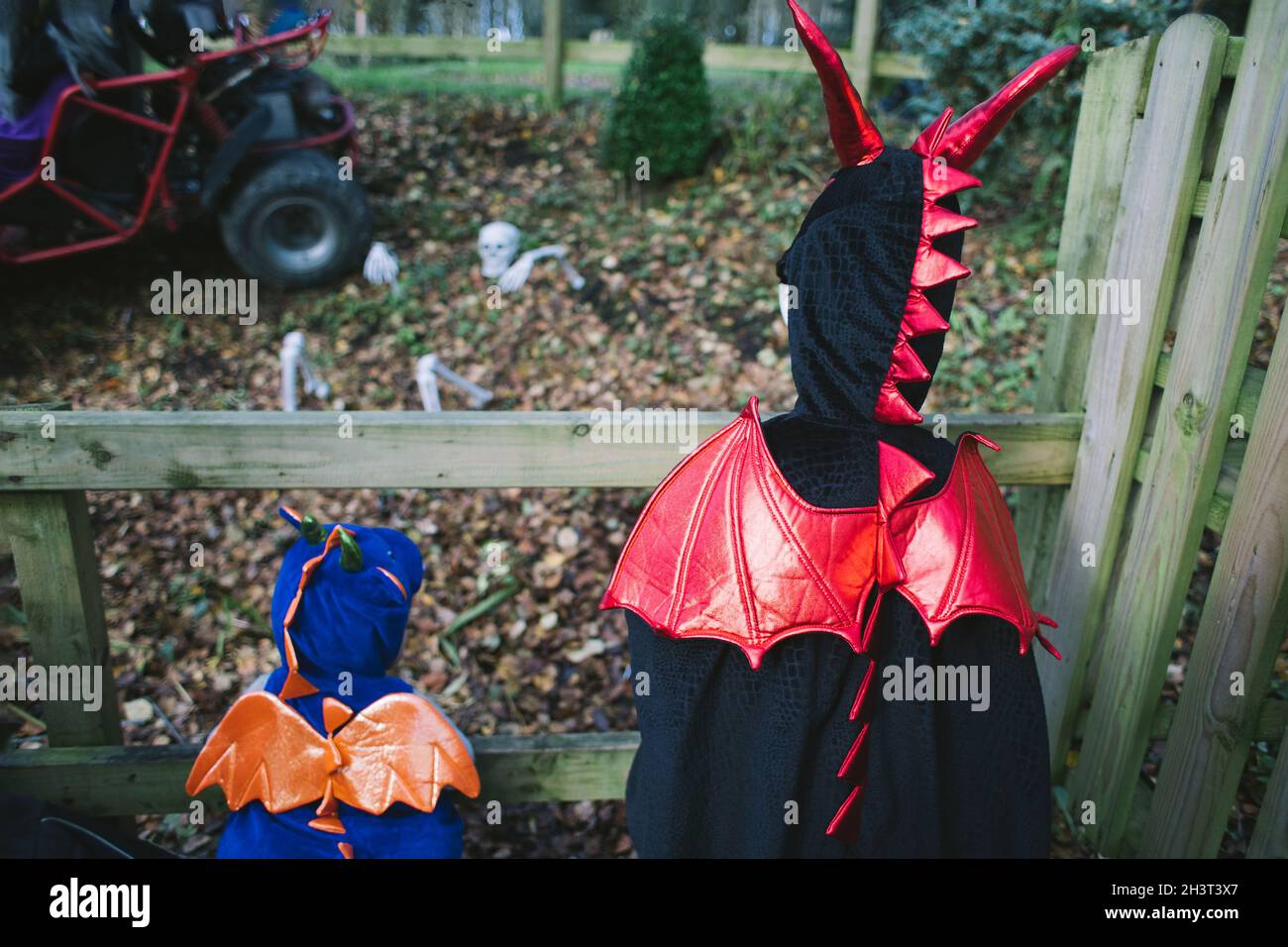 due bambini piccoli in blu e nero drago halloween costumi guardando uno scheletro a terra Foto Stock