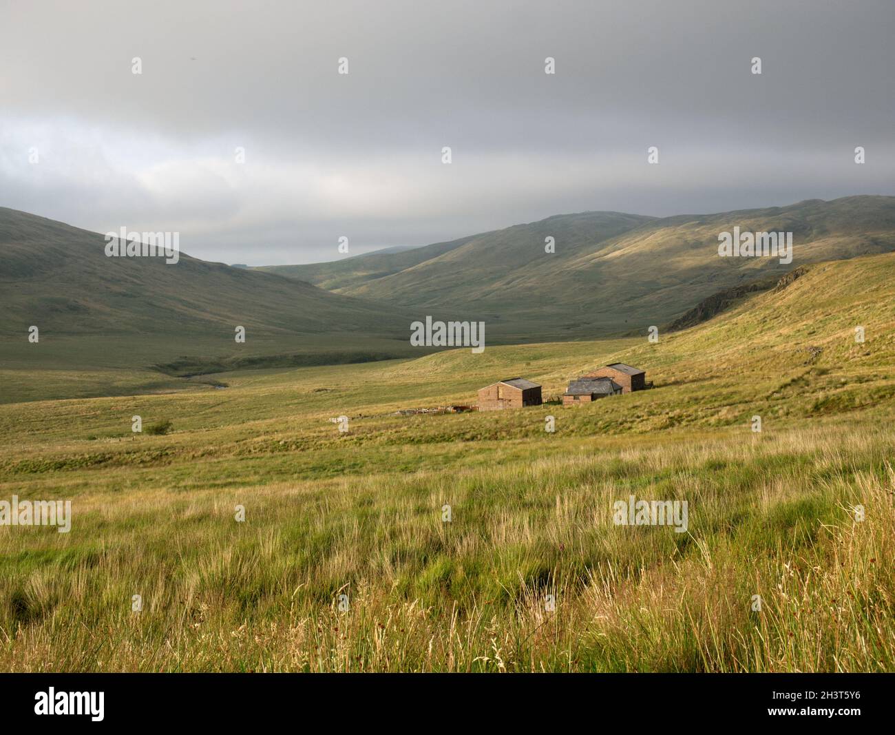 Remoti edifici agricoli a Maesnant, nella Valle di Hengwm, alla base di Pumlumon/Plynlimon nelle Montagne Cambriane della metà del Galles Foto Stock