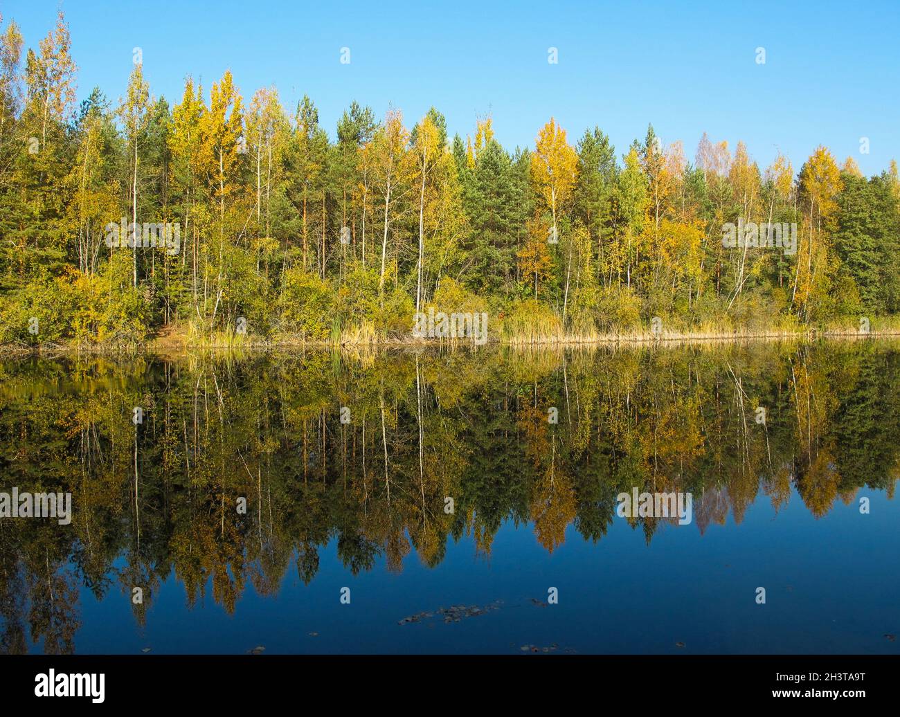 Autunno foresta con un bellissimo lago nelle giornate di sole. Luminose colorate che riflette gli alberi nelle calme acque del lago. Foto Stock