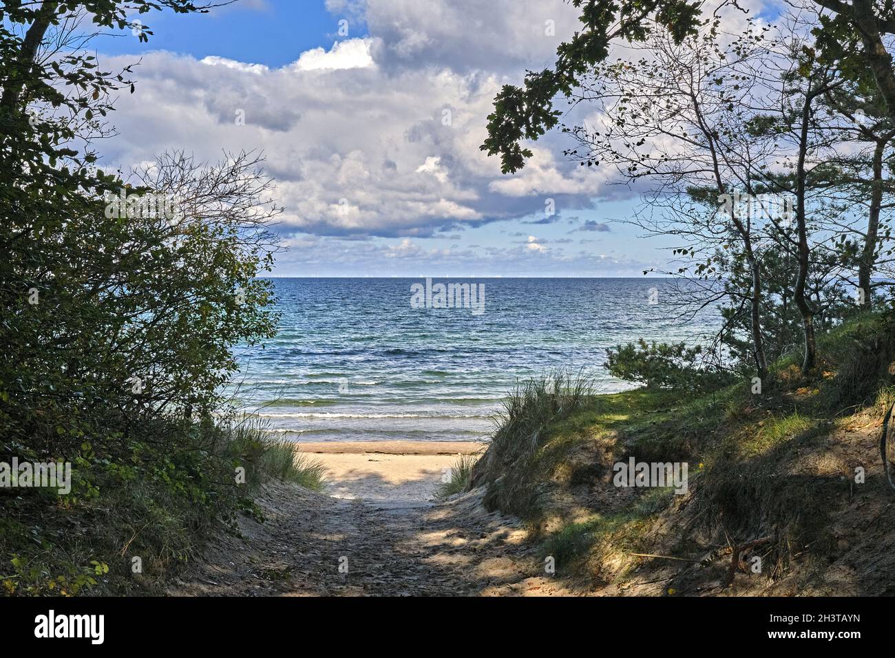 Vista sul mare dalla foresta delle fiabe di RÃ¼gen. Foto Stock