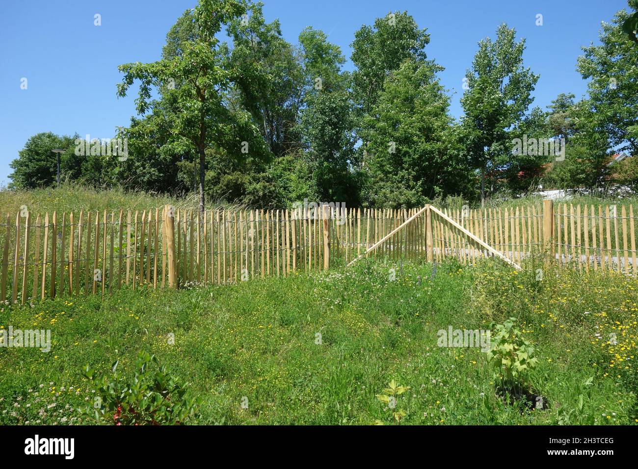 Staketenzaun, recinzione in legno Foto Stock