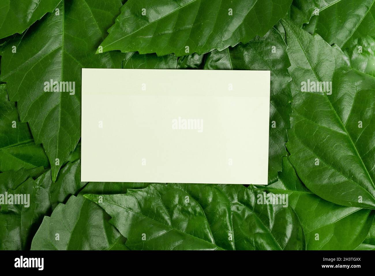 Idee di conservazione della natura, scrittura piani di conservazione dell'ambiente, materiali organici, progettazione di giardinaggio, conservazione Pro Foto Stock