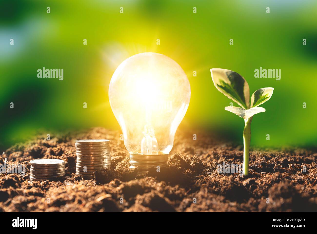 Fonti di energia rinnovabili: Sostenibilità, efficienza energetica, concetto di crisi energetica Foto Stock
