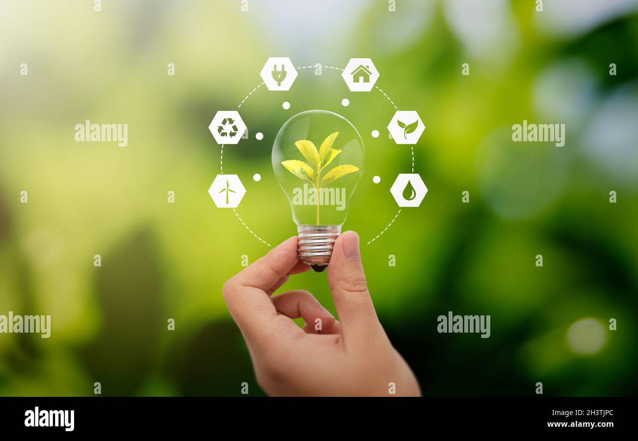 Fonti di energia rinnovabili: Sostenibilità, efficienza energetica, concetto di crisi energetica Foto Stock