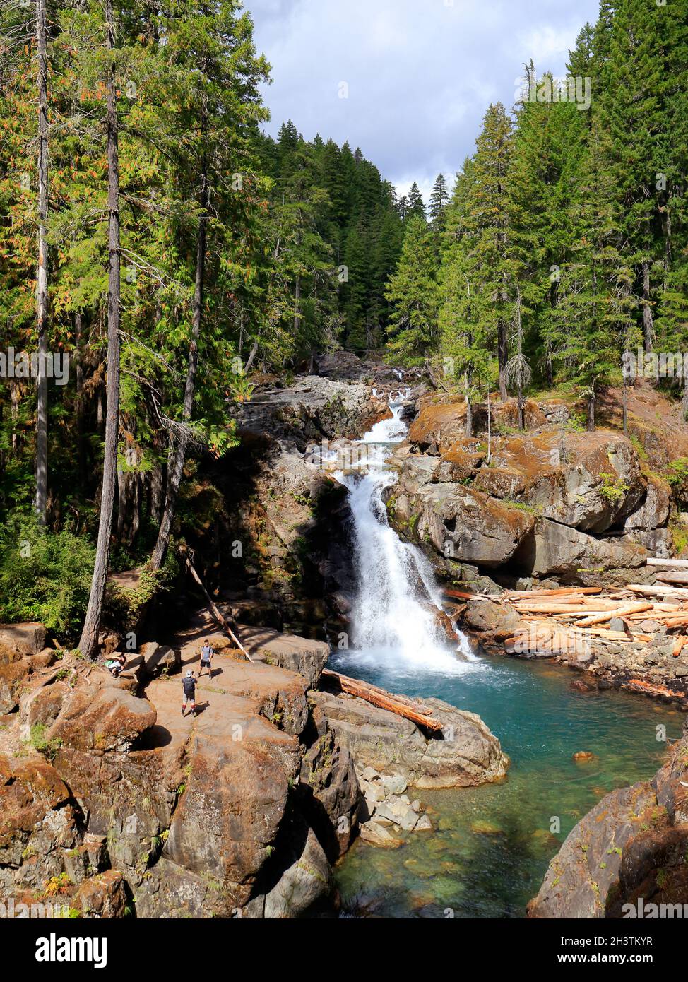 Silver Falls nel Mount Rainier National Park, Washington. Una cascata sul fiume Ohanapecosh popolare tra gli escursionisti vicino al campeggio Ohanapecosh Foto Stock