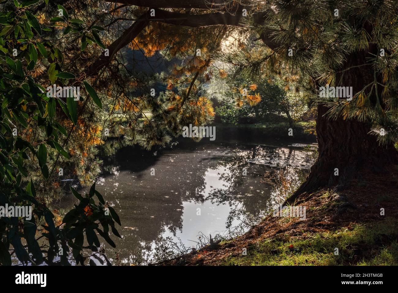 Autunno campagna intorno Brenchley vicino Royal Tunbridge Wells nel Kent, Inghilterra Foto Stock