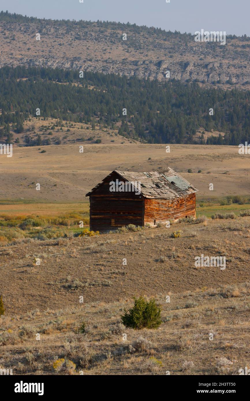 Un vecchio fienile negli Stati Uniti occidentali Foto Stock